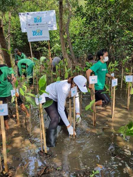AXA Mandiri & AXA Tanam Bibit Bakau, Perkuat Komitmen Menuju Netral Emisi Karbon 2050