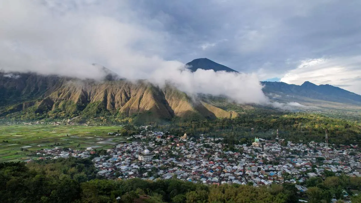 Cek 4 Hari Besar 15 Januari: Hari Desa Nasional hingga Wikipedia Day