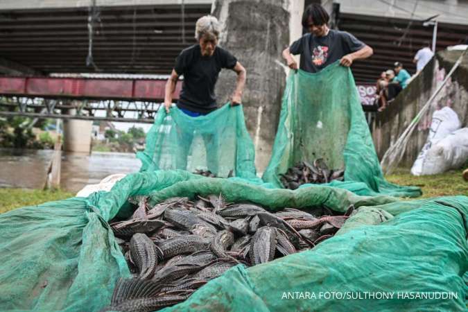 Kesehatan Anda Terancam, Ini 4 Bahaya Mengonsumsi Ikan Sapu-Sapu yang Mengintai