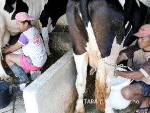 Kementerian Pertanian tolak penurunan bea masuk susu