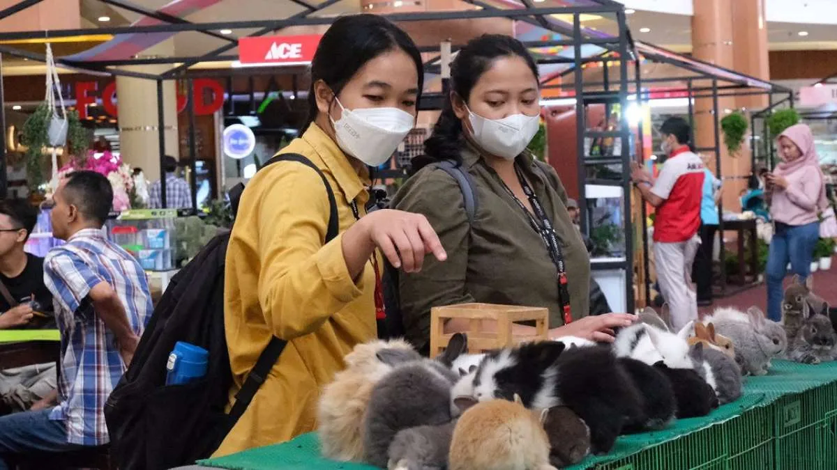 Planimals Exhibition SMB Hadirkan Pameran Hewan Peliharaan & Tanaman Hias