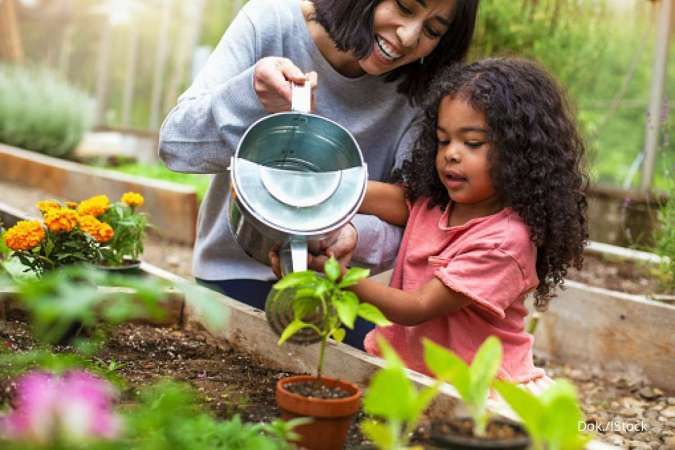 Ingin Berkebun di Ruang Sempit? Begini Tips dan Cara Mudah untuk Pemula