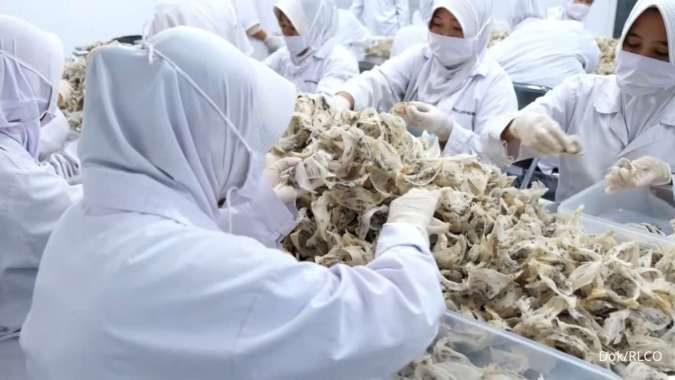 Abadi Lestari Indonesia (RLCO) Menadah Berkah dari Sarang Walet