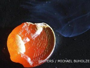 Belgia bekukan anggaran belanja US$ 1,7 miliar