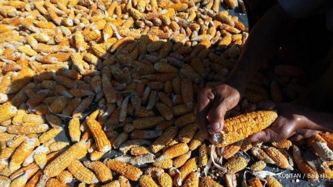 Permintaan jagung China naik, harga ikut melangit