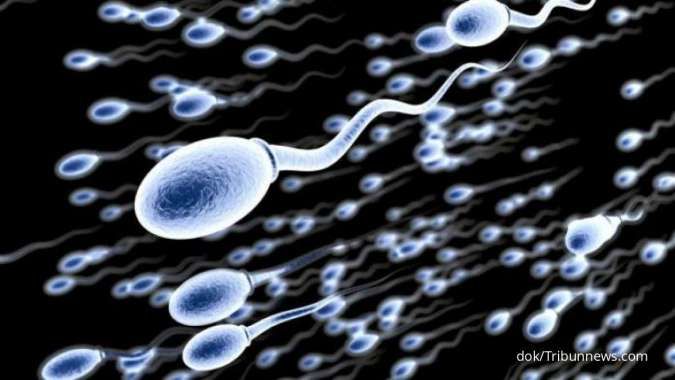 7 Cara Meningkatkan Kualitas Sperma Pria, Sayang Dilewatkan!