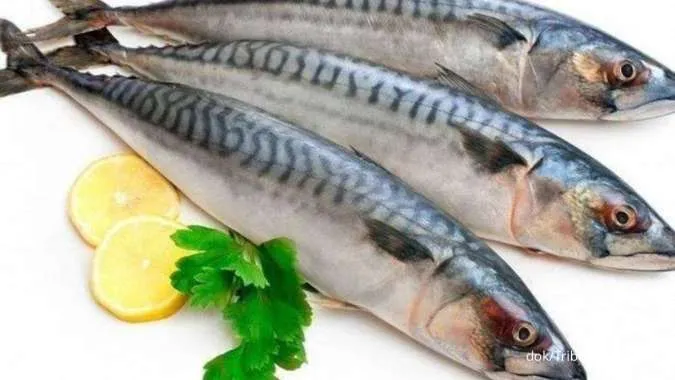 Stop Abaikan Ikan Ini! Rugi Besar Tak Tahu 6 Manfaat Ikan Kembung untuk Jantung