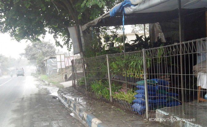 Beralih profesi jadi peternak kambing (3)