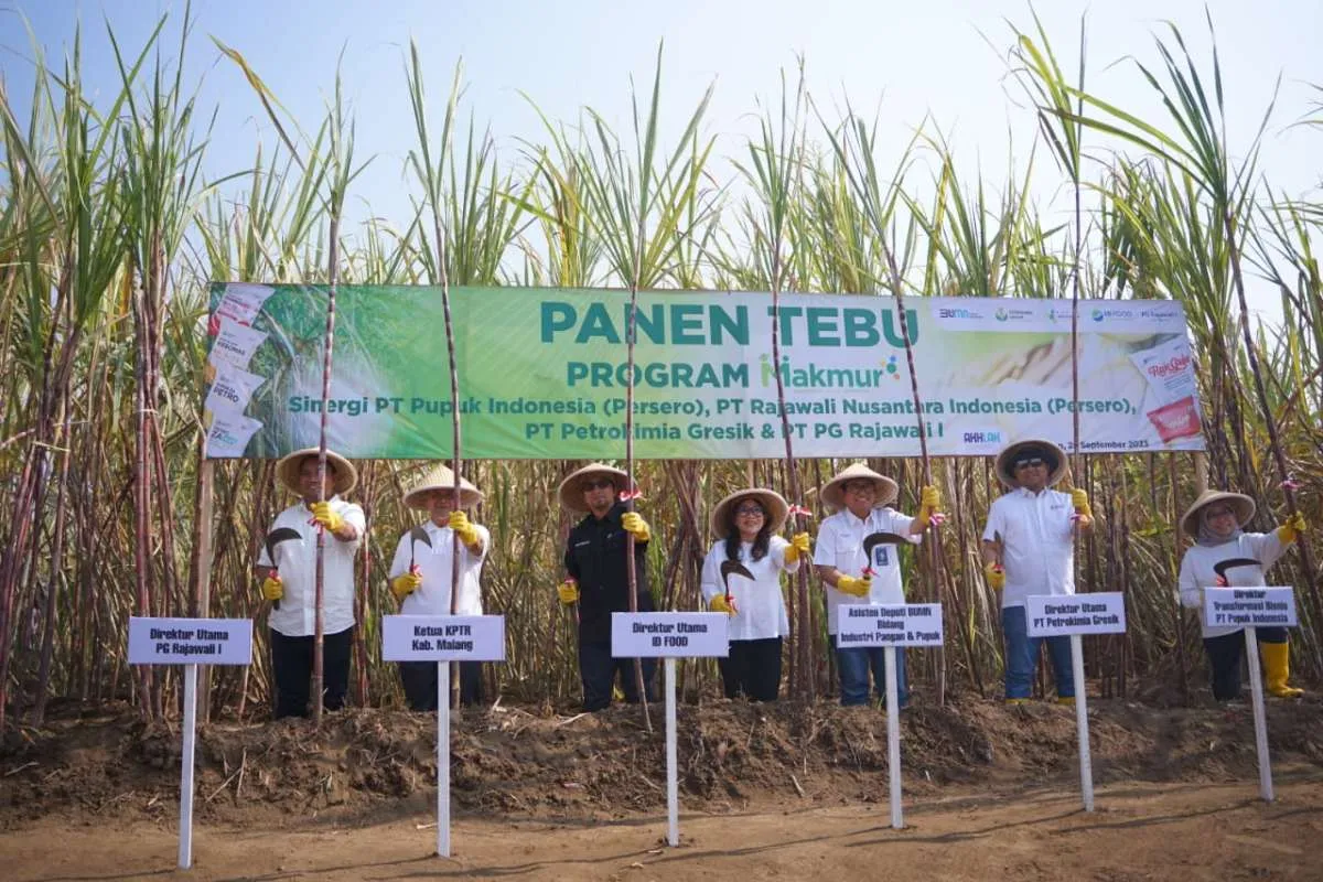 ID FOOD Bersama Pupuk Indonesia Tingkatkan Produktivitas dan Pendapatan Petani Tebu