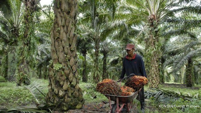 Penjualan CPO AALI tumbuh 10% selama Januari 2016