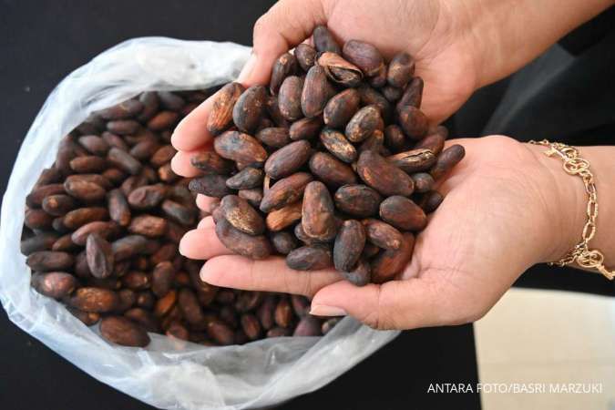 Pungutan Ekspor Biji Kakao Perlu Diimbangi Penurunan Bea Keluar 