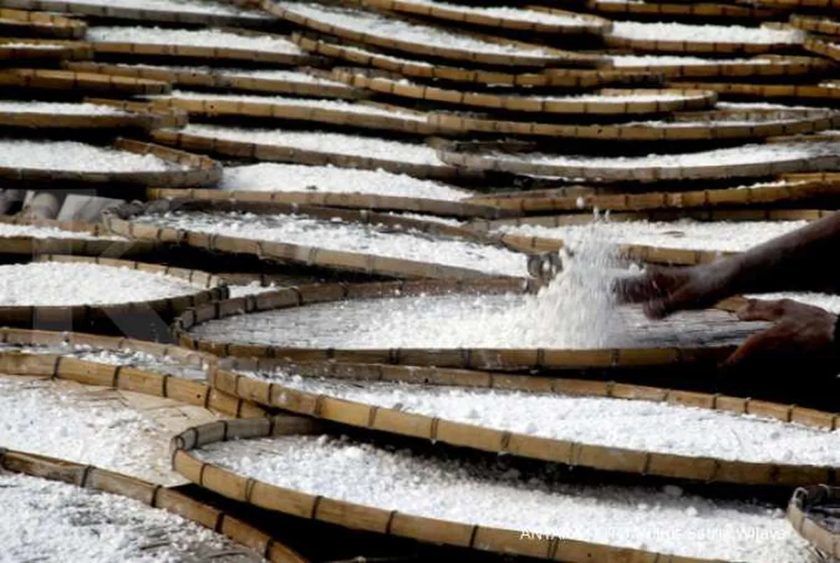 CORE: Dampak percepatan program PEN baru akan terasa di kuartal IV-2020