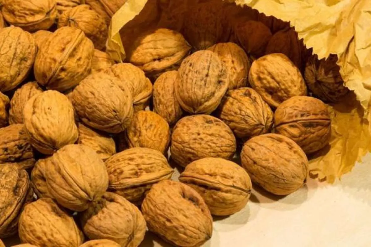 Kancang kenari bisa menurukan risiko penyakit diabetes benarkah? 