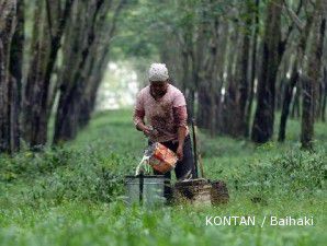 Harga karet terjegal kebijakan China dan produksi Indonesia 