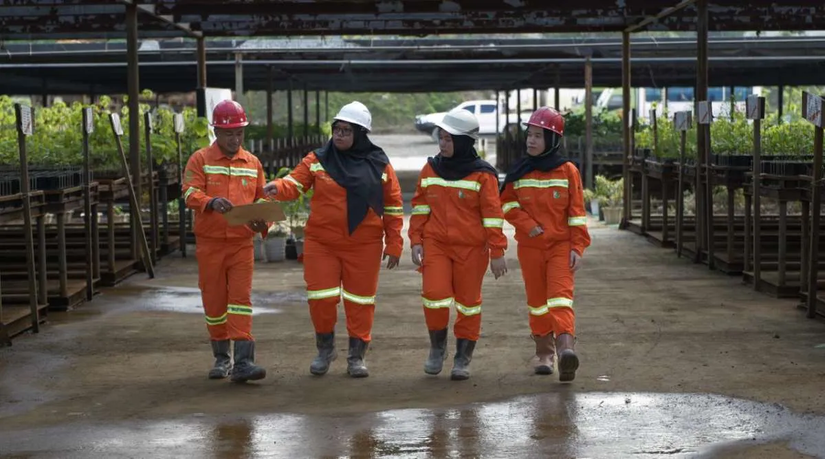 Eramet Perkuat Komitmen Sosial Lewat Beasiswa Kuliah dan Pengembangan Petani Lokal