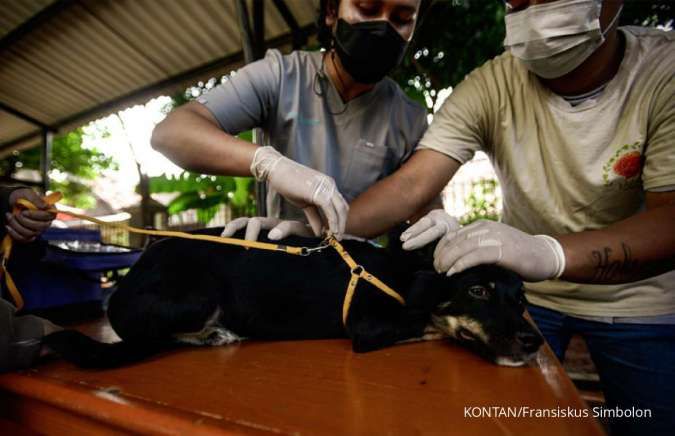 Umur Hewan Peliharaan di Indonesia Hanya 6 Tahun, Ini Cara Memperpanjang Umur Mereka
