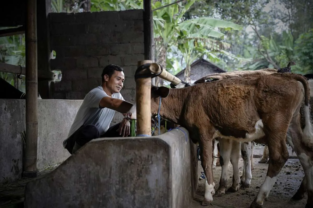 Rumah Energi Catat 29.900 Instalasi Biogas, Dampak Ekonomi Masyarakat Meluas