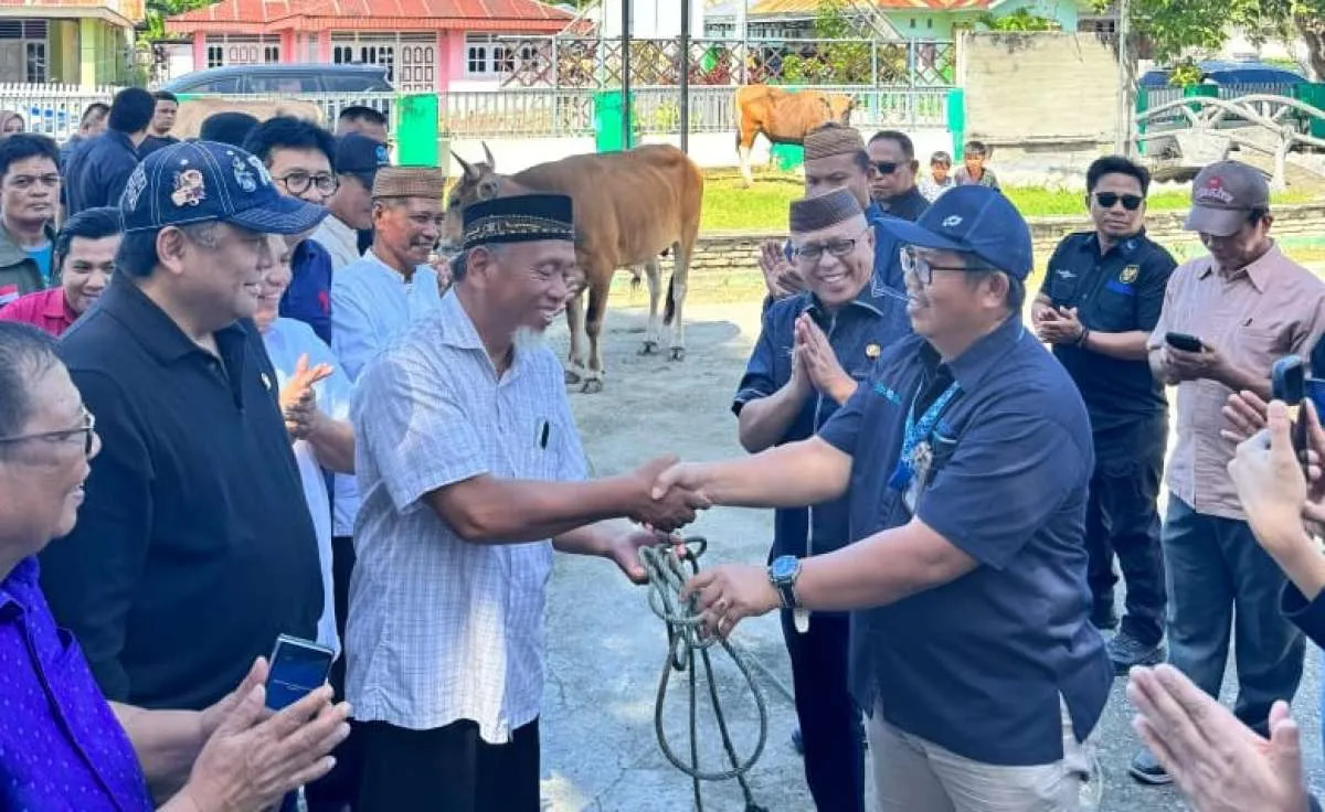 Permintaan Hewan Kurban Naik, Perputaran Ekonomi di Peternak Lokal Meningkat