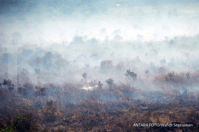 Satgas Karhutla Riau berjibaku padamkan api di lahan gambut 4 hektare