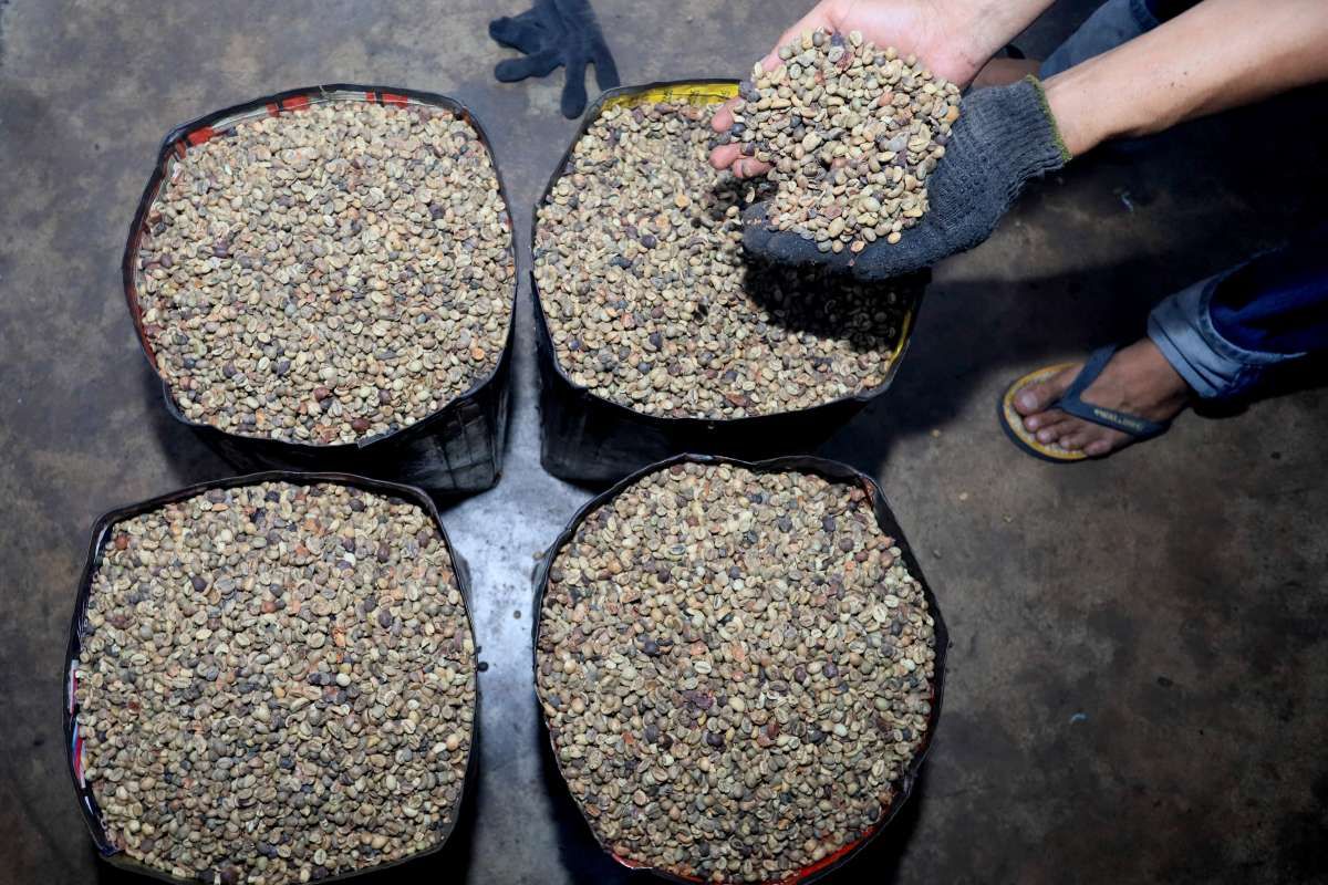  Ekspor Kopi Indonesia Menyusut