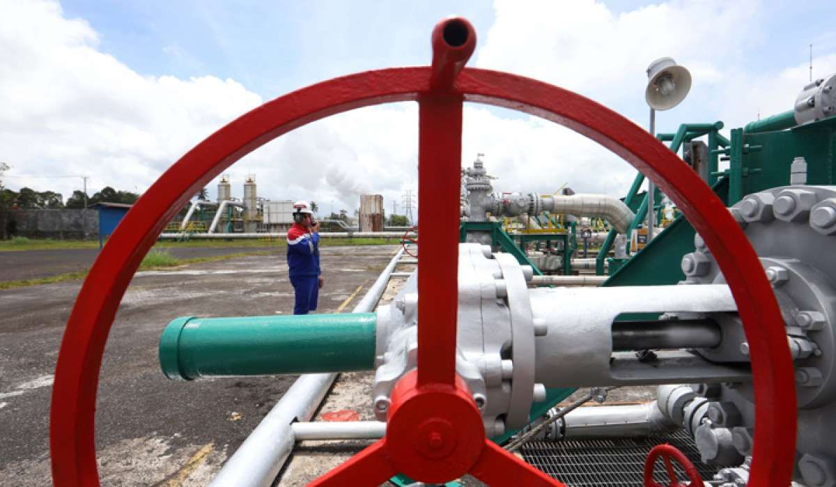 Transisi Energi: Fokus di Beban Dasar Dulu Sebelum Bicara Diversifikasi Energi Hijau