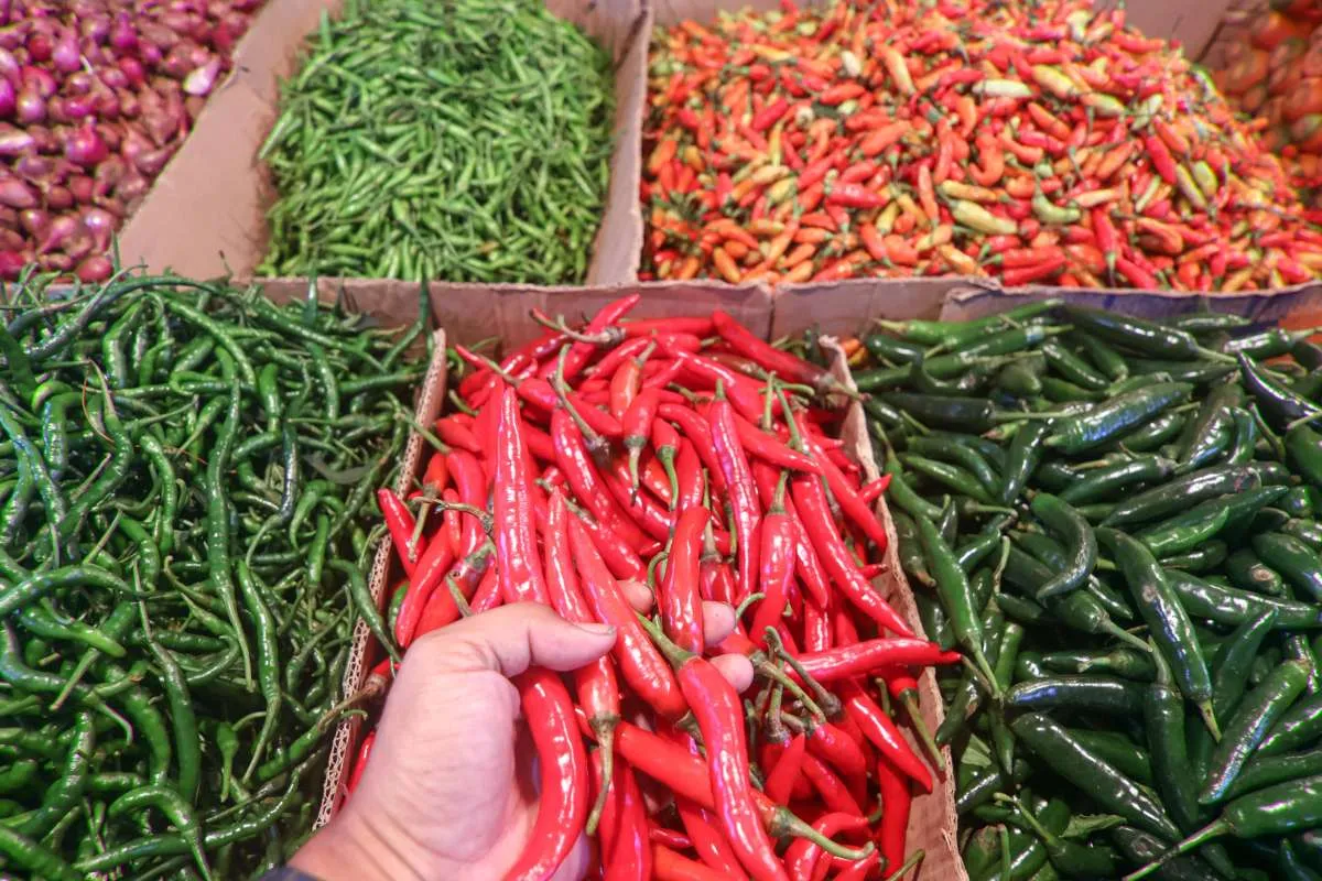 Bapanas Klaim Harga Pangan Pokok Mulai Turun Usai Lebaran