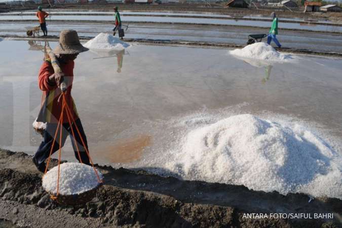 Begini strategi PT Garam memenuhi kebutuhan garam industri di dalam negeri 