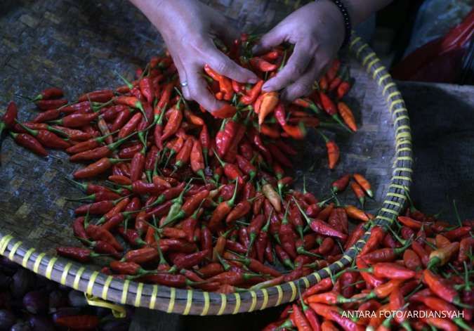 Jelang Nataru, Harga Cabai, Bawang Hingga Daging Sapi Mulai Naik