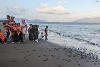 Inkubasi Buatan (Intan) Memastikan Penetasan Penyu Jantan demi Pelestarian