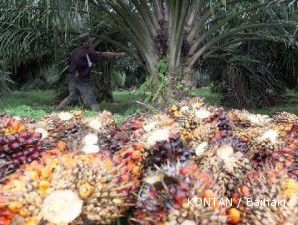 Laju harga CPO belum terhenti