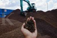 Harga Patokan Tertinggi Biomassa 1,2 Kali Belum Cukup Menarik untuk Cangkang Sawit