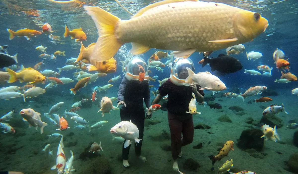 Prakiraan Cuaca Jawa Tengah Cerah Berawan, Klaten, Purworejo & Wonosobo Hujan Ringan