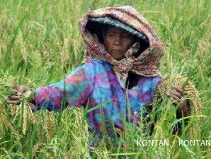 BUMN pangan kembangkan pola yarmen untuk dongkrak produksi beras