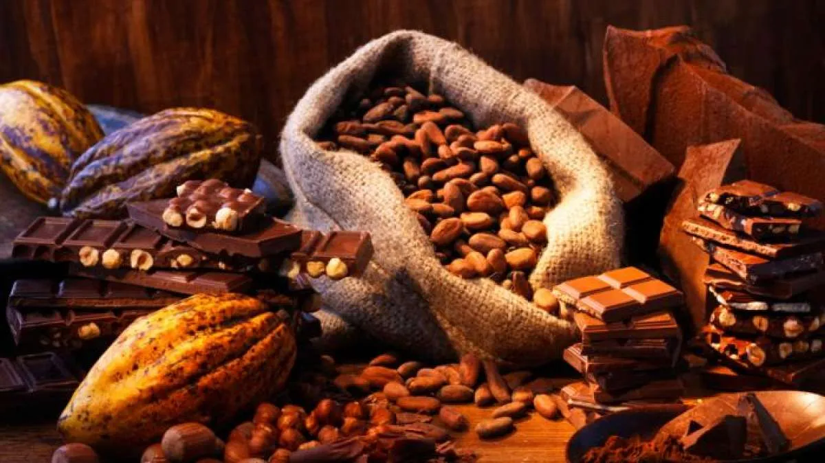 Cargill Resmikan Pusat Pengembangan Kakao di Indonesia