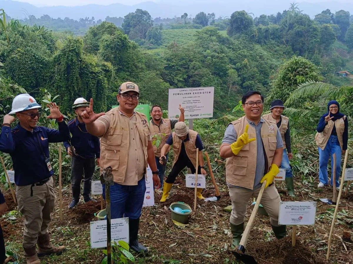Menuju 3 Dekade, KONTAN Dorong Keseimbangan Lingkungan dalam Bisnis