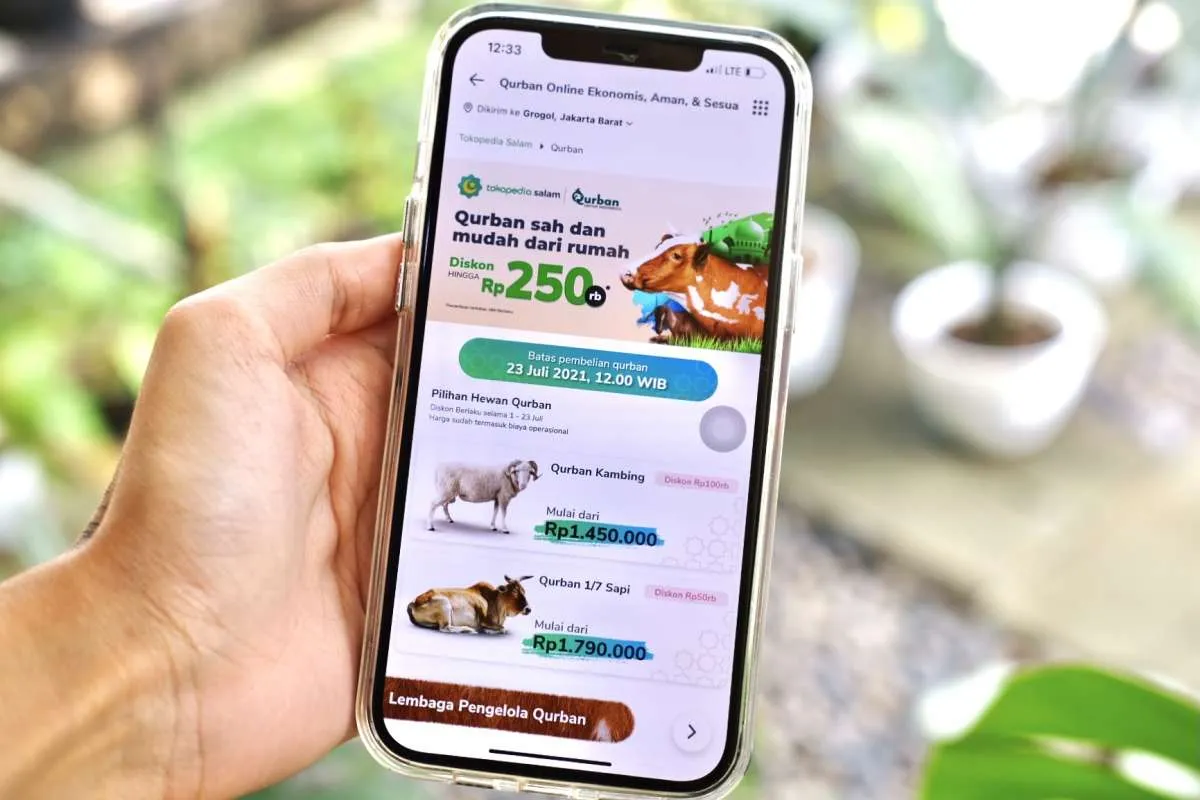 Belum Telat, Masih Bisa Qurban Online Sampai Tanggal 23 Juli