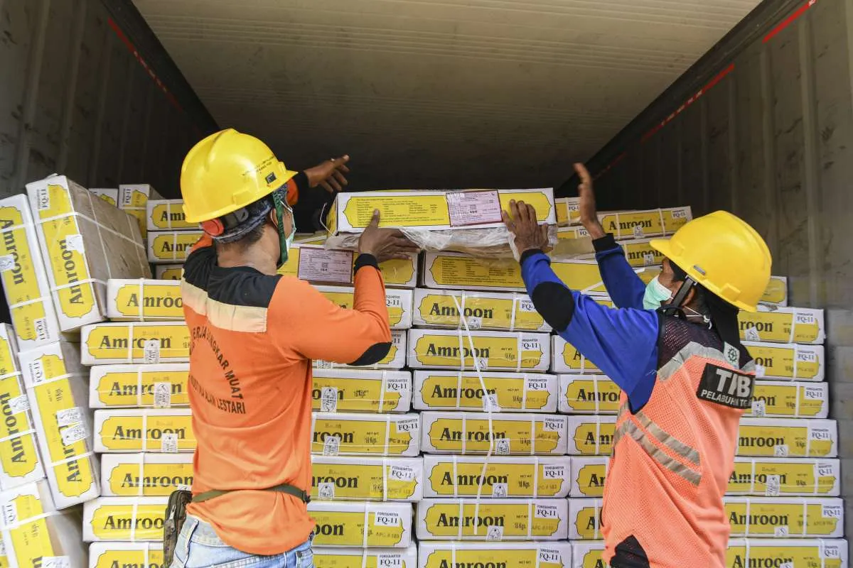 Pemerintah Buka Peluang Impor 100.000 Ton Daging Kerbau dari Pakistan