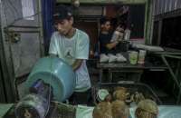 Ekspor Kelapa Bulat Bakal Kena Pungutan