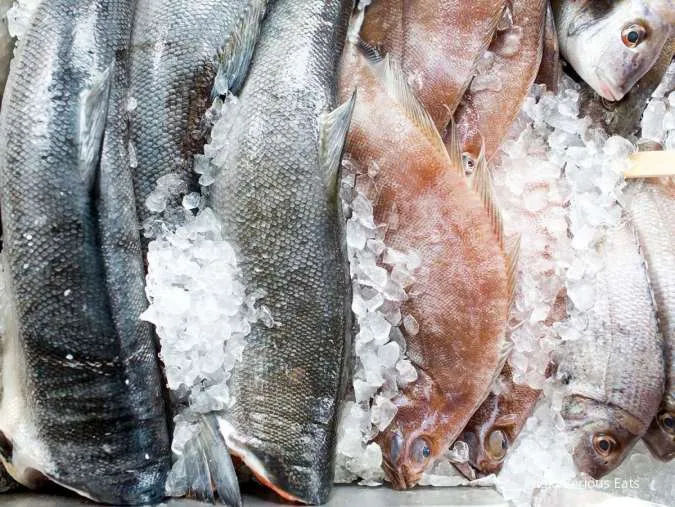 3 Cara Tepat Menyimpan Ikan Segar dalam Freezer Agar Bertahan Lama