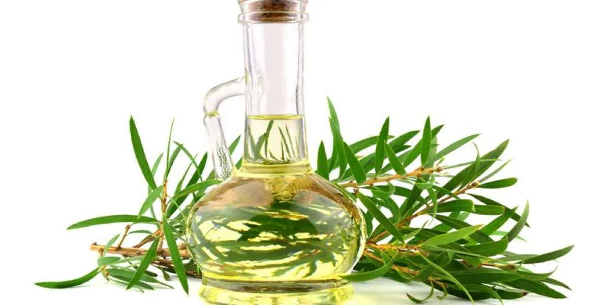 6 Rekomendasi Tanaman Herbal yang Bisa Meredakan Sakit Kepala, Cek Daftarnya Yuk