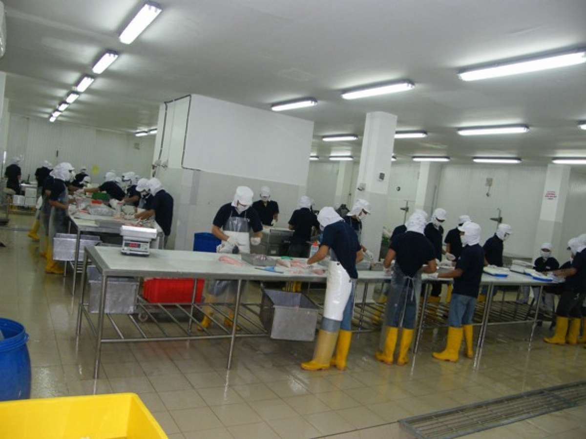 Usai Terbang Harga Saham IKAN Langsung ARB, Hati-Hati Valuasinya Masih Kemahalan
