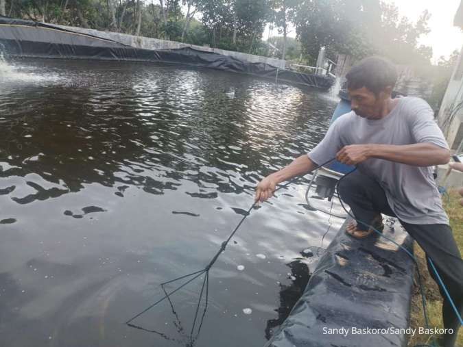 Memacu Ekonomi dan Ekologi Lewat Festival Udang Banyuwangi