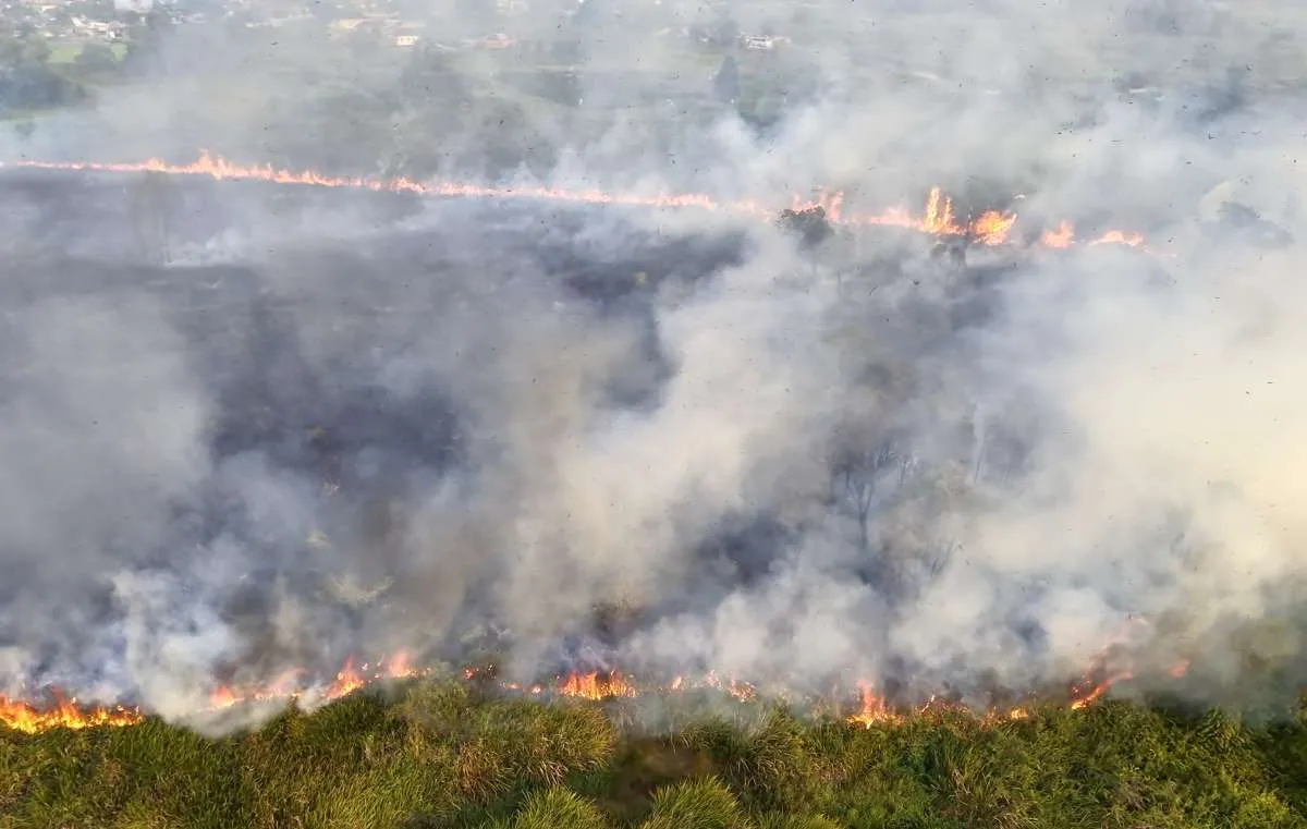 UPDATE - BNPB Catat Karhutla di Empat Daerah, Total 16 Hektare Lahan Terbakar