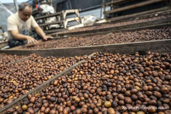 Kopi Indonesia Raup Potensi Transaksi US$ 10,8 Juta di Eropa