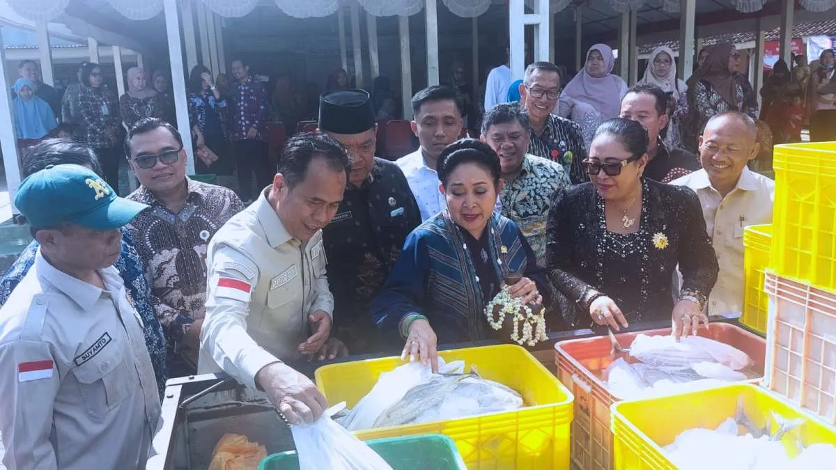 KKP dan DPR Dorong Pemberdayaan UMKM Perikanan melalui Gemarikan