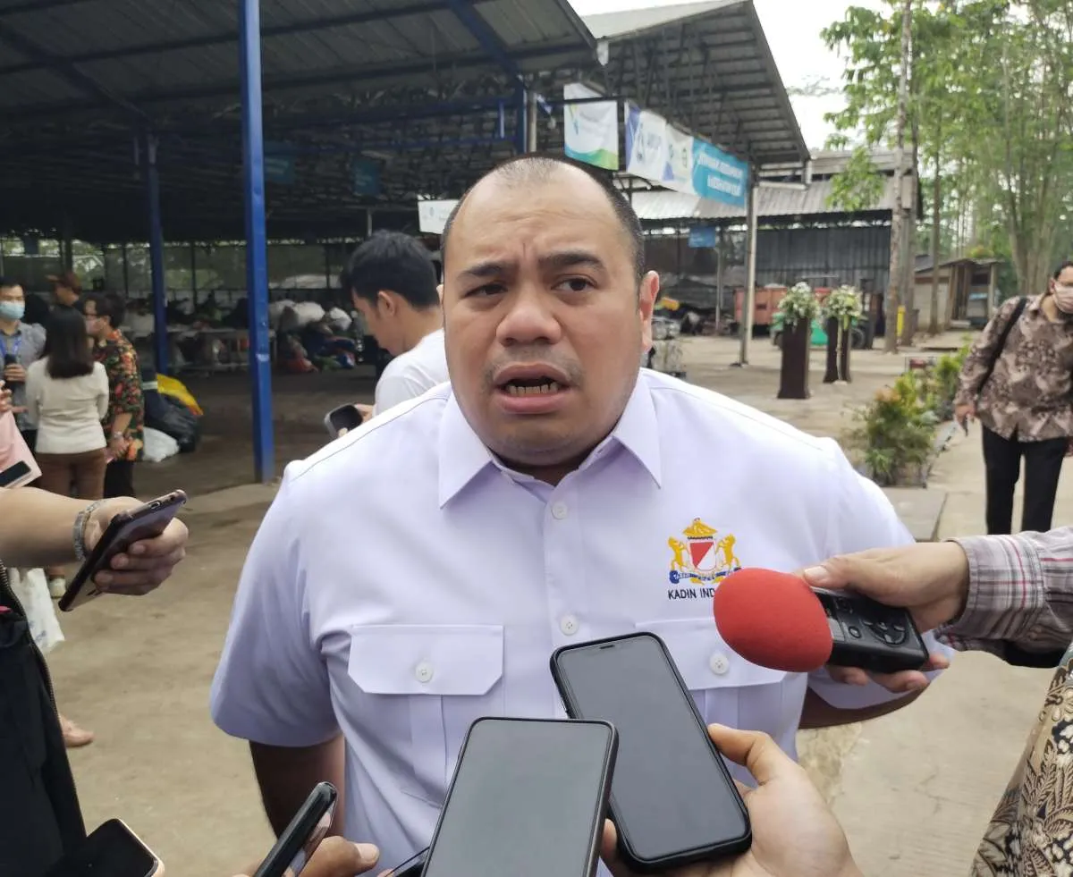 Insentif Kendaraan Listrik, Pandu Sjahrir: Biar Masyarakat Mau Membeli