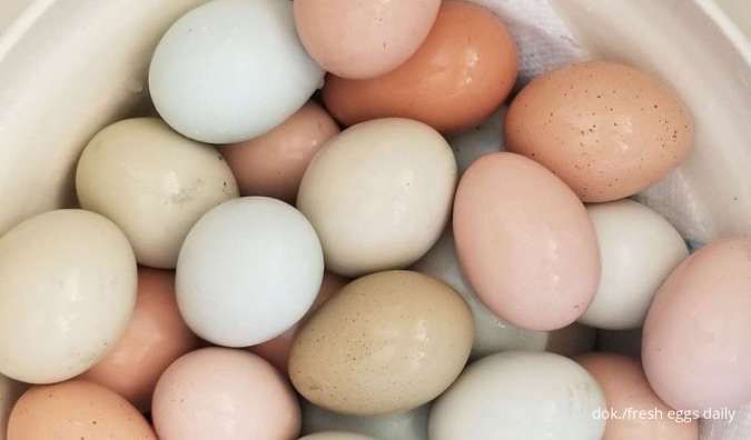 Punya Masa Simpan Singkat, Ini 5 Cara Menyimpan Telur Agar Dapat Bertahan Lama
