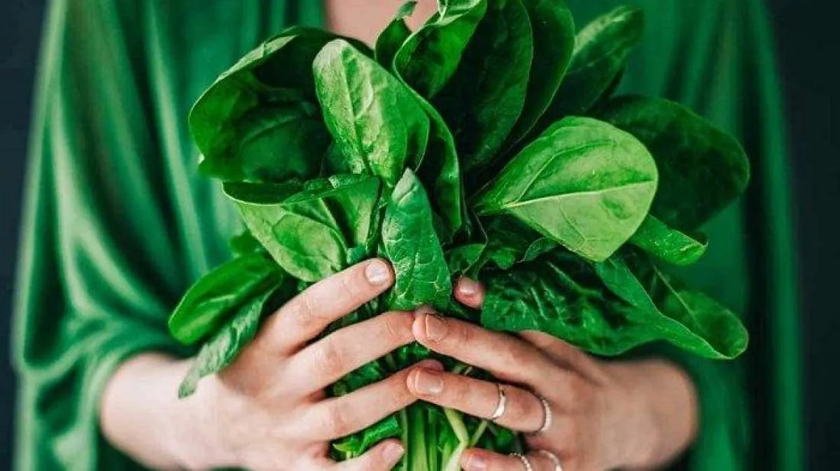 Ada Banyak Pilihan Makanan Penurun Gula Darah Tinggi, Sudah Tahu?