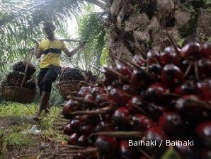 Harga CPO turun, saham UNSP melorot ke level terendah dalam dua bulan 