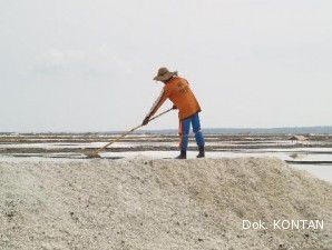 Pemerintah akan jadikan NTT produser garam utama